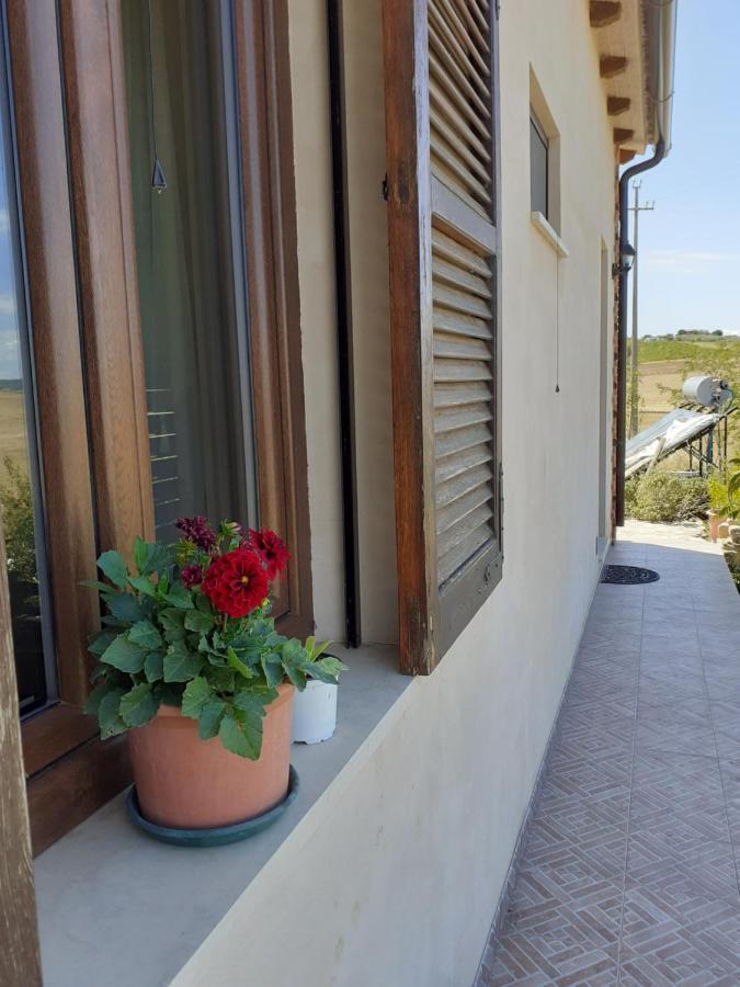 Cinigiano Agriturismo Enjoy Sunset מראה חיצוני תמונה