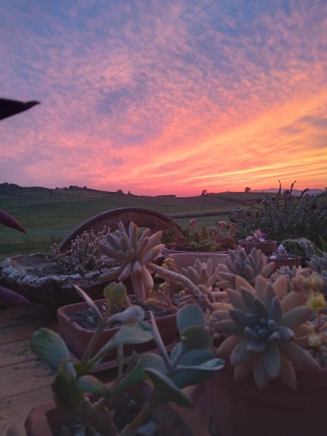 Cinigiano Agriturismo Enjoy Sunset מראה חיצוני תמונה
