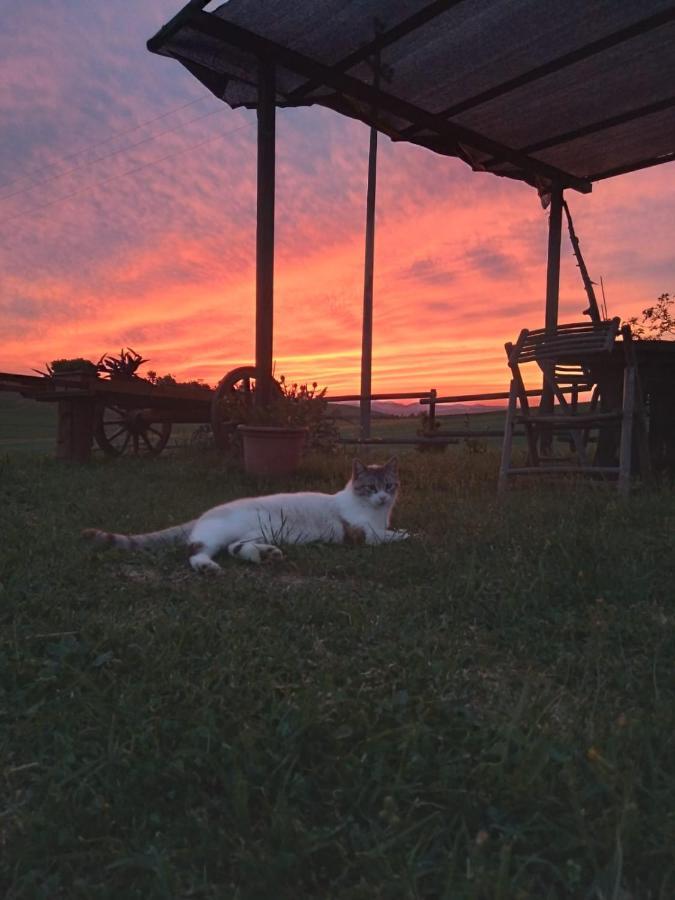 Cinigiano Agriturismo Enjoy Sunset מראה חיצוני תמונה